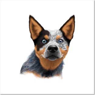 Cute Australian Cattle Dog Drawing Posters and Art